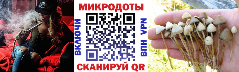 Галлюциногенные грибы ЛСД  продажа наркотиков  Чкаловск 
