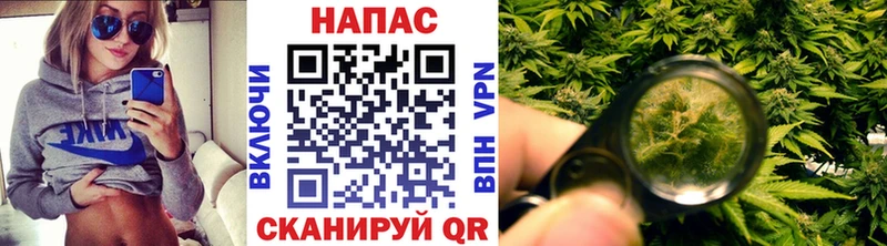 Марихуана THC 21%  кракен tor  Чкаловск 